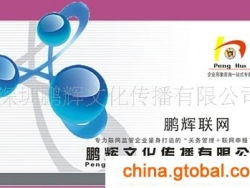 企业管理咨询 解锁组织潜力的战略伙伴